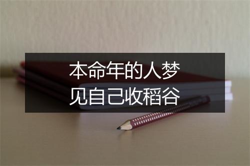 本命年的人梦见自己收稻谷