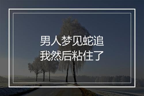 男人梦见蛇追我然后粘住了