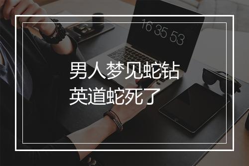 男人梦见蛇钻英道蛇死了