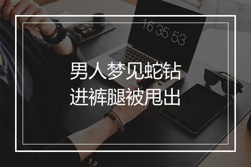 男人梦见蛇钻进裤腿被甩出