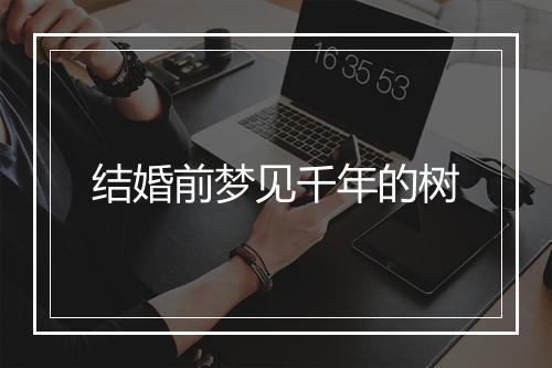 结婚前梦见千年的树