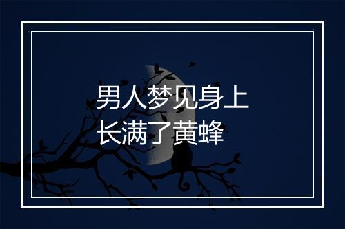 男人梦见身上长满了黄蜂