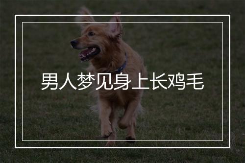 男人梦见身上长鸡毛