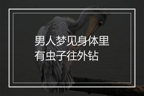 男人梦见身体里有虫子往外钻