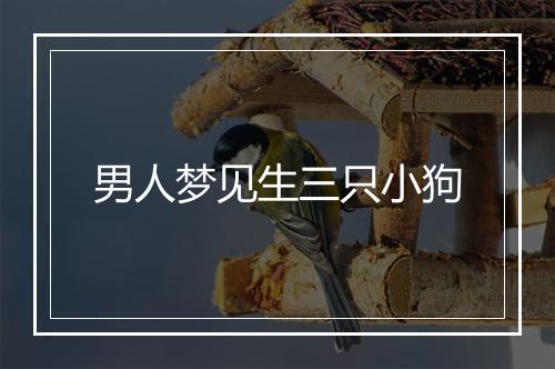 男人梦见生三只小狗