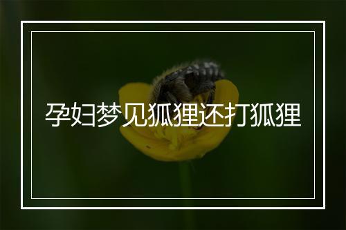 孕妇梦见狐狸还打狐狸