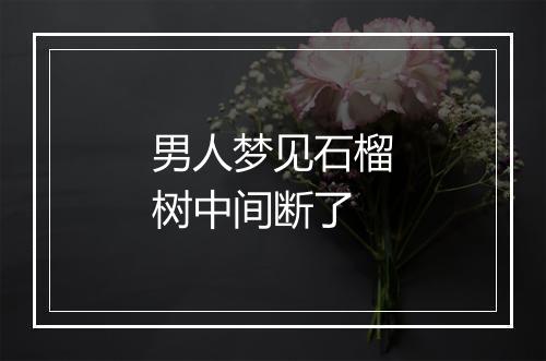 男人梦见石榴树中间断了