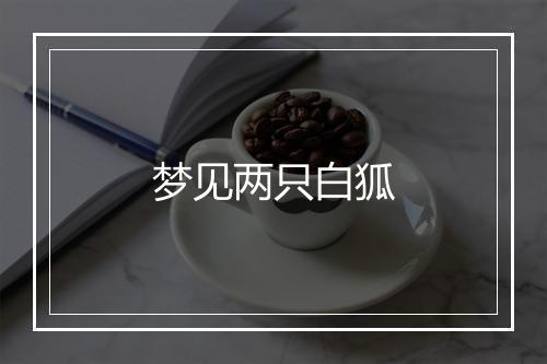 梦见两只白狐