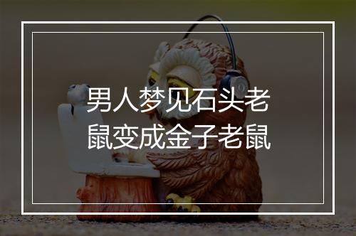 男人梦见石头老鼠变成金子老鼠