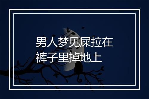 男人梦见屎拉在裤子里掉地上