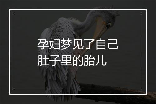 孕妇梦见了自己肚子里的胎儿