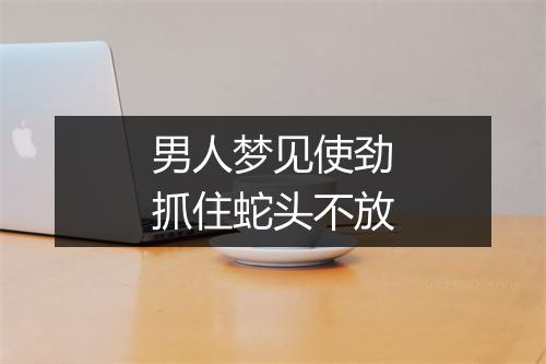 男人梦见使劲抓住蛇头不放