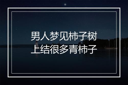 男人梦见柿子树上结很多青柿子