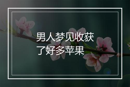 男人梦见收获了好多苹果