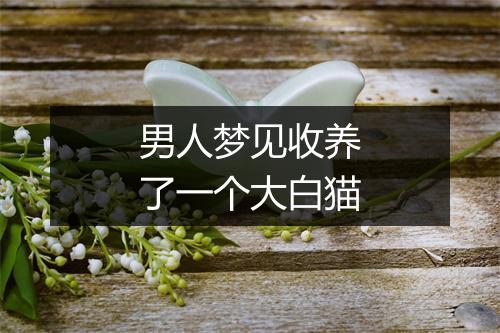 男人梦见收养了一个大白猫