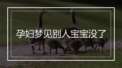 孕妇梦见别人宝宝没了