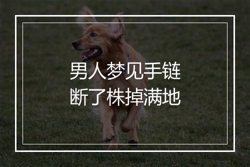 男人梦见手链断了株掉满地