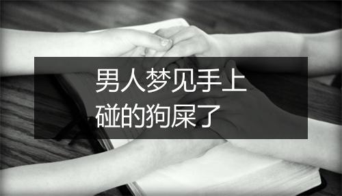 男人梦见手上碰的狗屎了