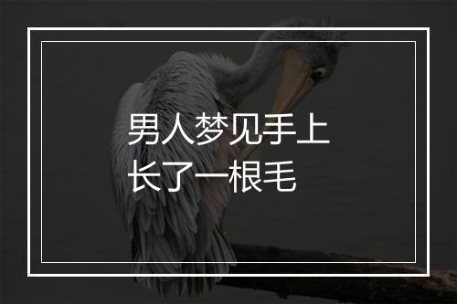 男人梦见手上长了一根毛