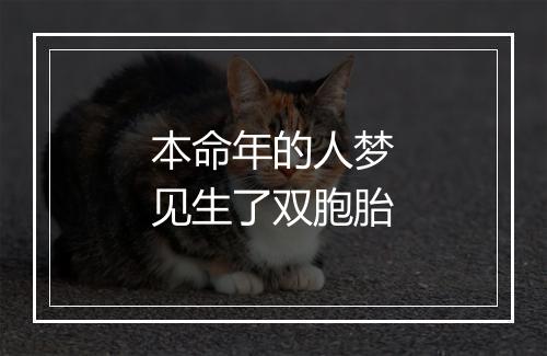 本命年的人梦见生了双胞胎