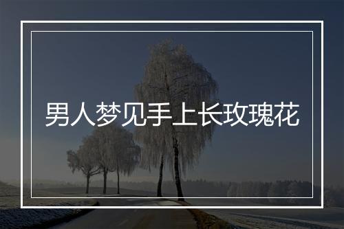 男人梦见手上长玫瑰花