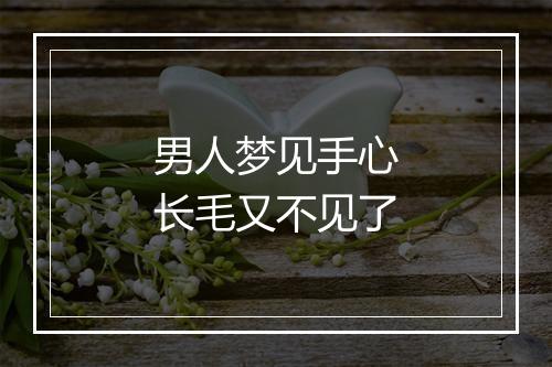 男人梦见手心长毛又不见了