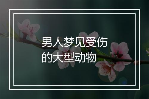 男人梦见受伤的大型动物