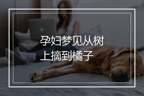 孕妇梦见从树上摘到橘子