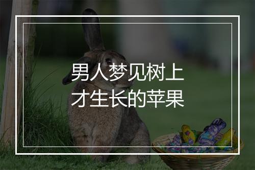 男人梦见树上才生长的苹果