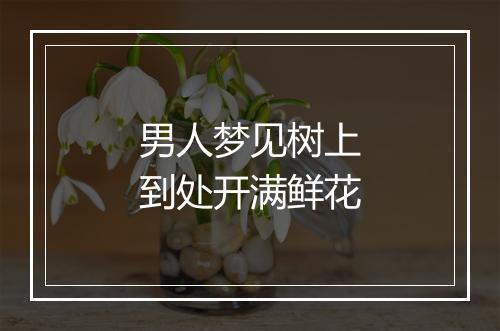 男人梦见树上到处开满鲜花