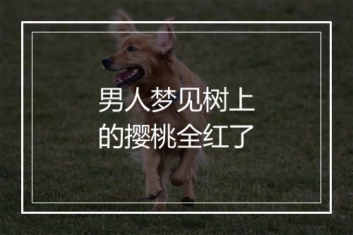 男人梦见树上的撄桃全红了