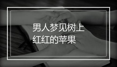 男人梦见树上红红的苹果