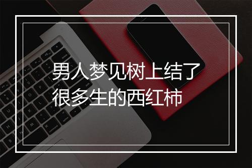 男人梦见树上结了很多生的西红柿