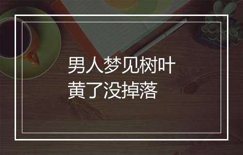 男人梦见树叶黄了没掉落