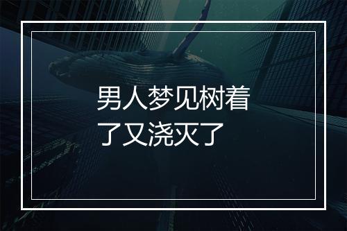 男人梦见树着了又浇灭了