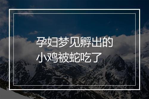 孕妇梦见孵出的小鸡被蛇吃了