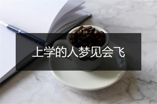 上学的人梦见会飞