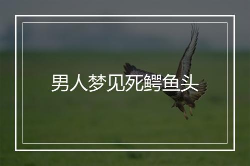 男人梦见死鳄鱼头