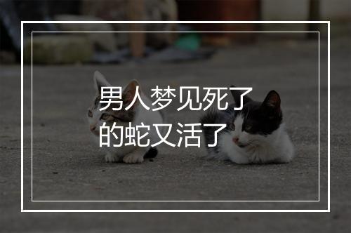 男人梦见死了的蛇又活了