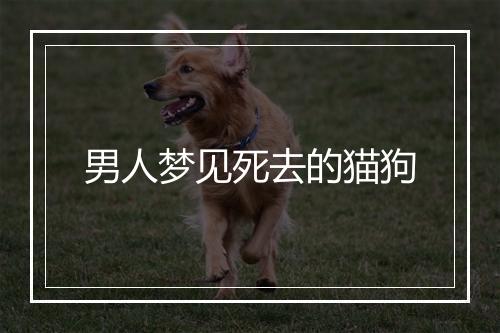 男人梦见死去的猫狗