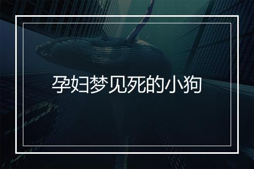 孕妇梦见死的小狗