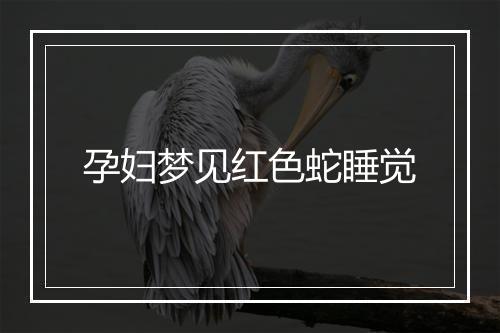 孕妇梦见红色蛇睡觉