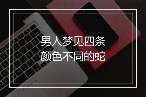 男人梦见四条颜色不同的蛇