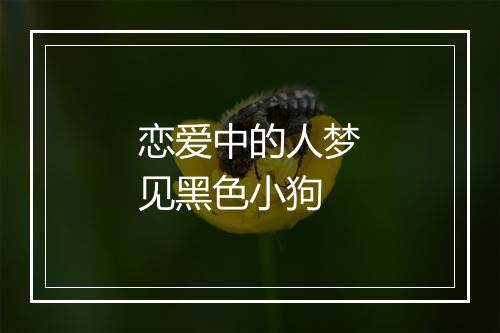 恋爱中的人梦见黑色小狗