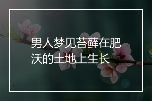 男人梦见苔藓在肥沃的土地上生长