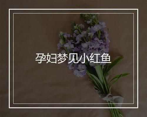 孕妇梦见小红鱼