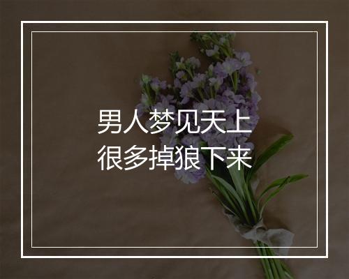 男人梦见天上很多掉狼下来