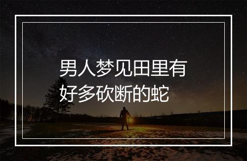 男人梦见田里有好多砍断的蛇