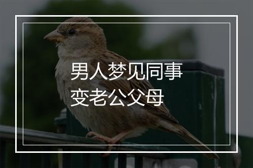 男人梦见同事变老公父母