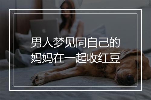 男人梦见同自己的妈妈在一起收红豆